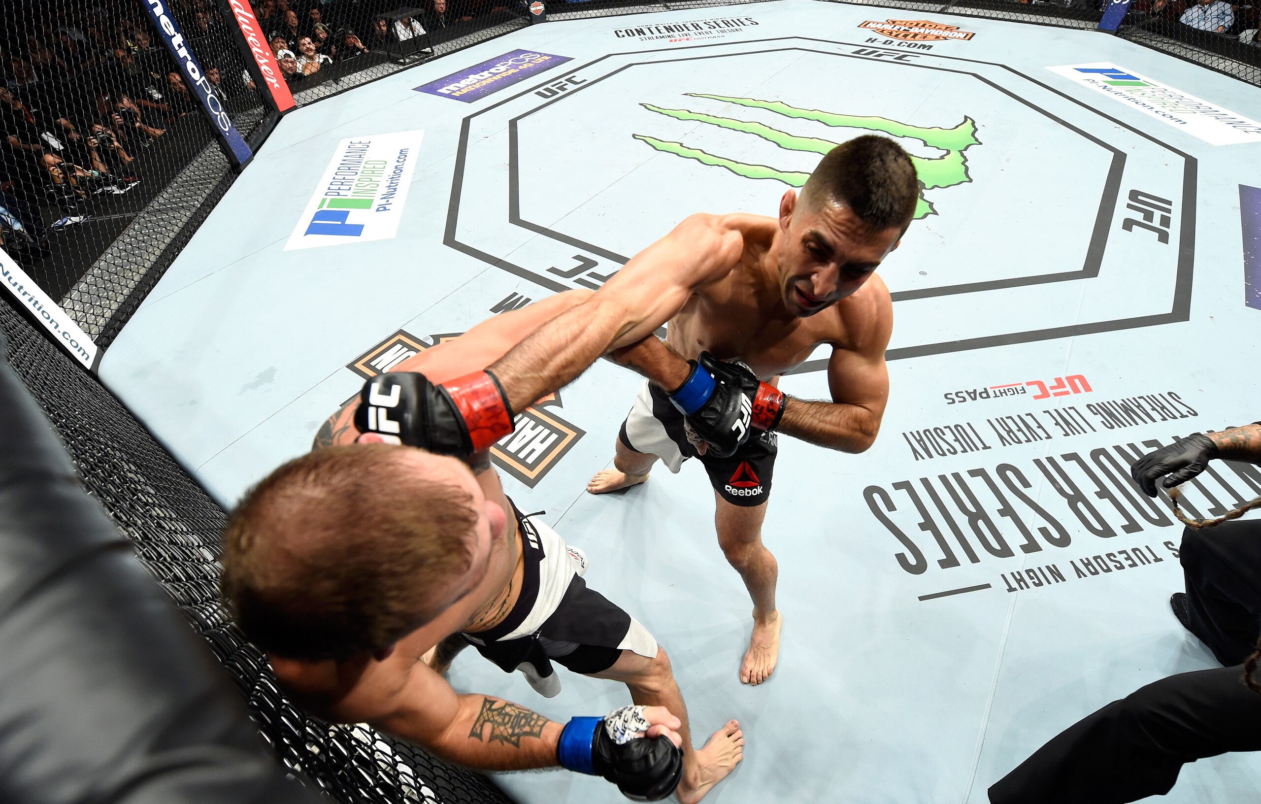 Lamas rarely loses to a non elite opponent. Lamas rarely loses to a non elite opponent.