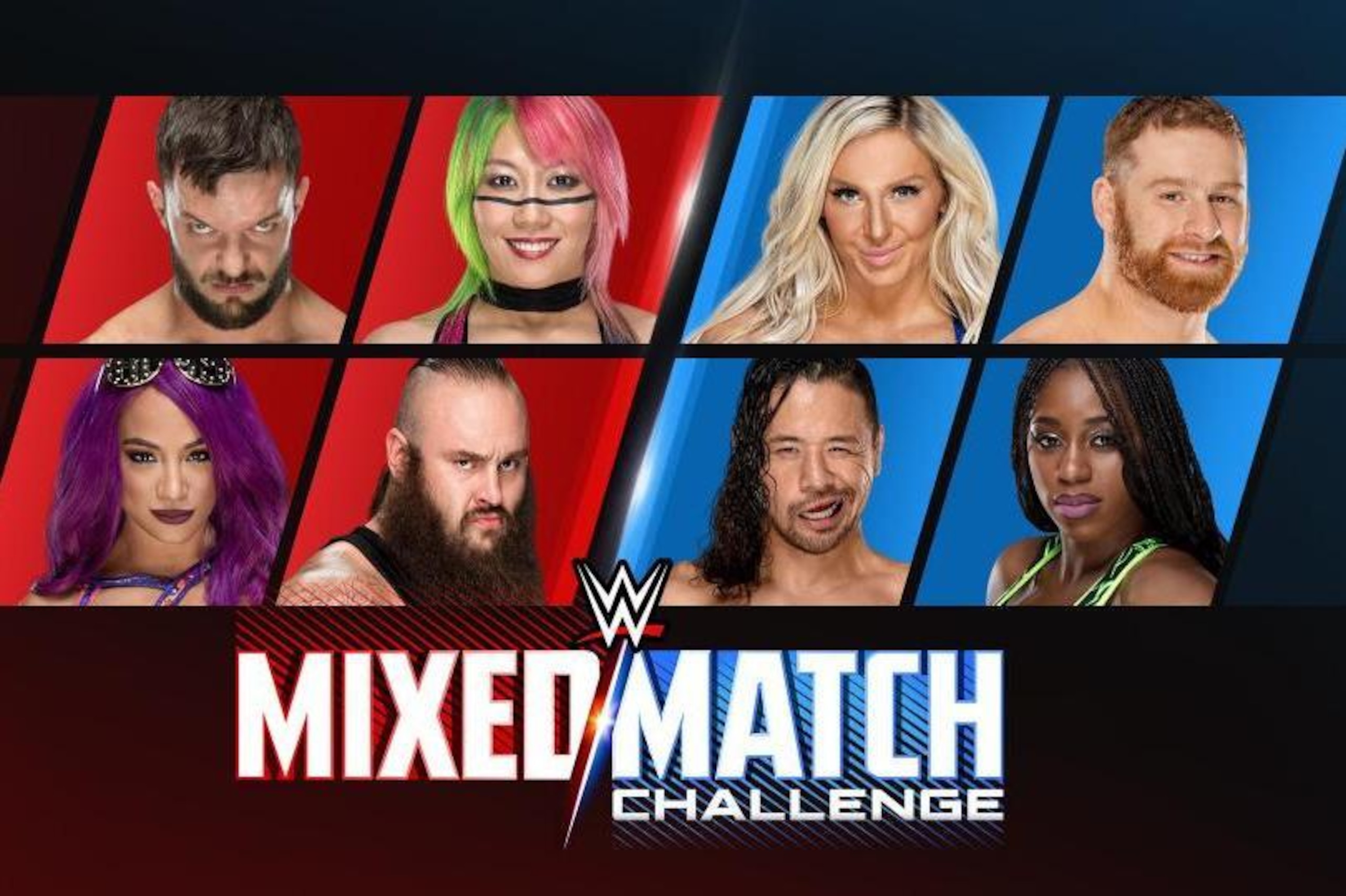 Some of the participants in WWE's first Mixed Match Challenge.