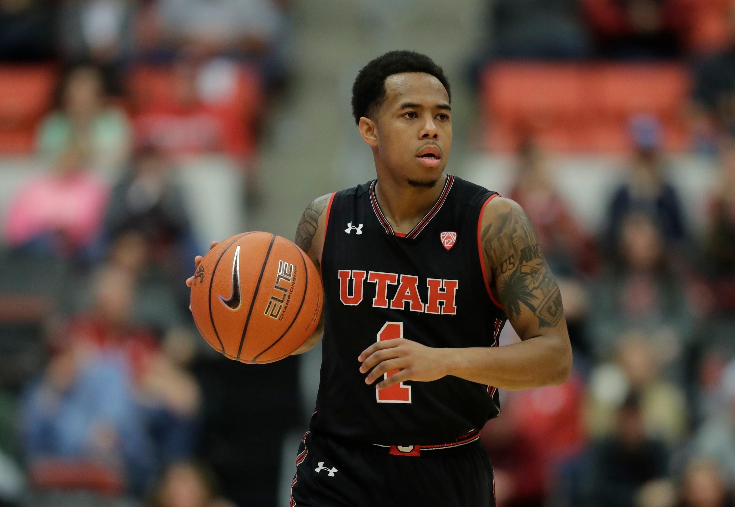 Justin Bibbins