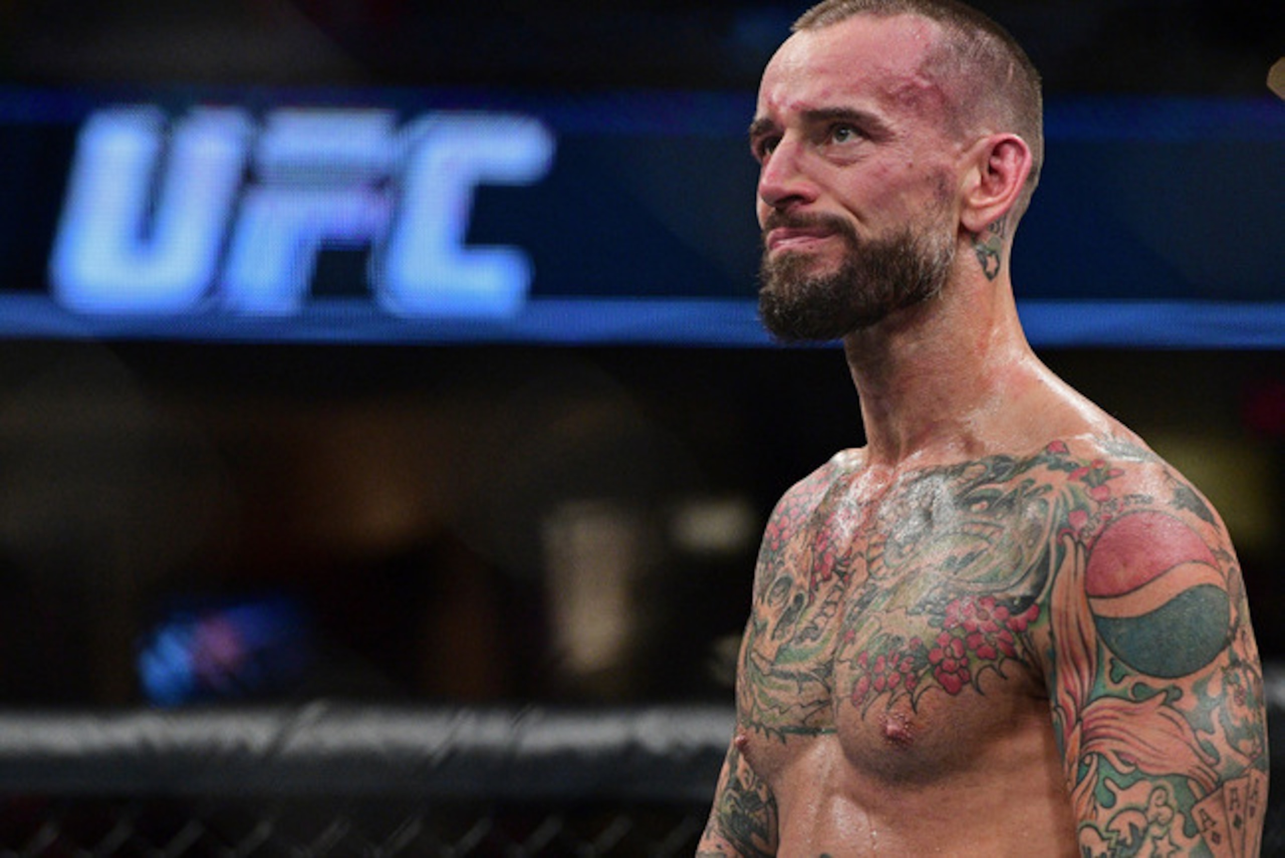 CM Punk