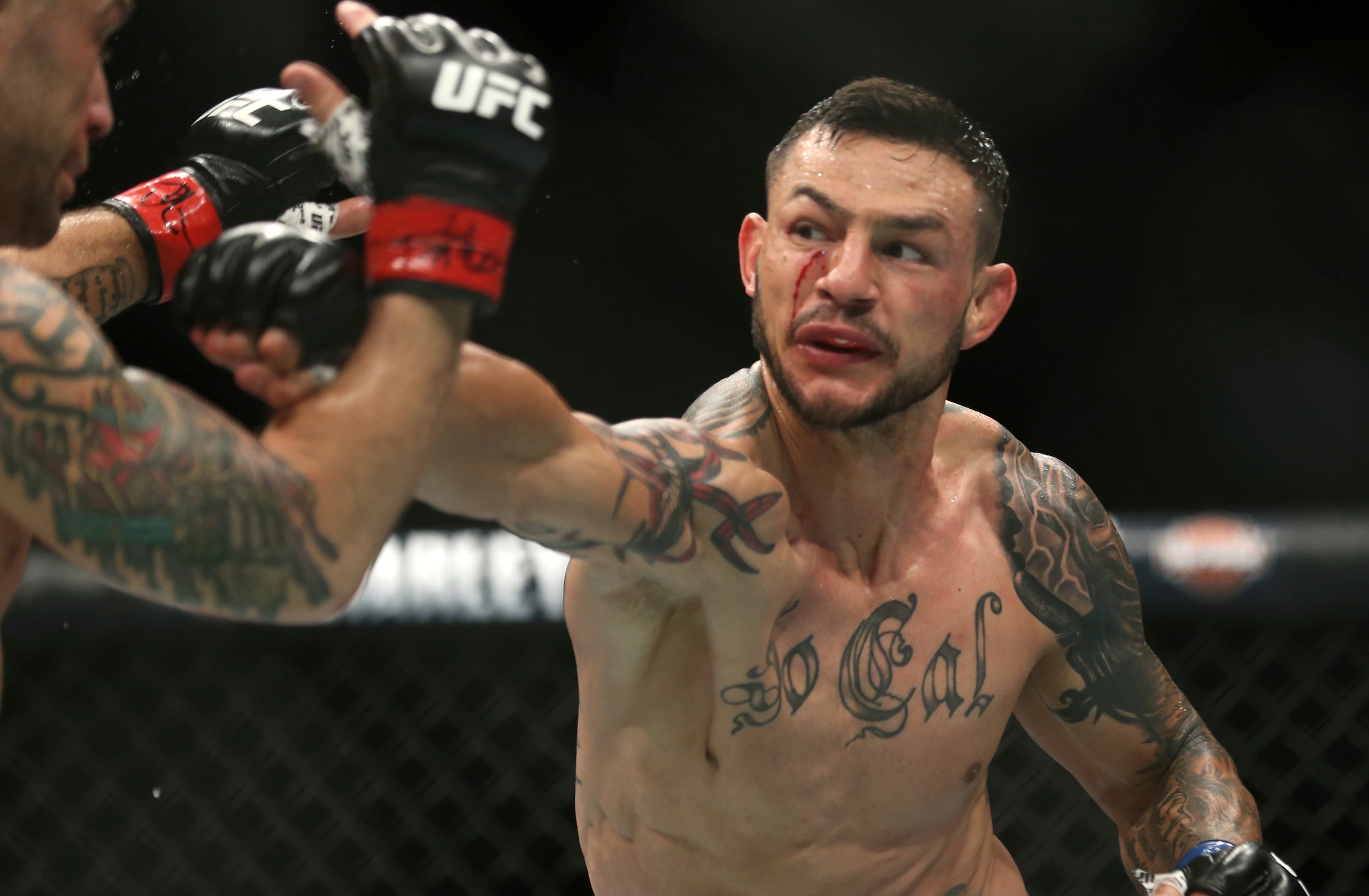 Cub Swanson Cub Swanson