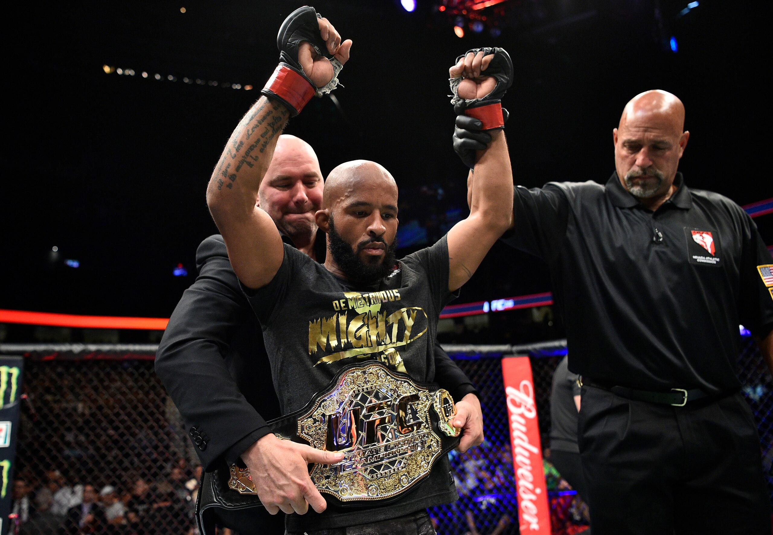 Demetrious Johnson Demetrious Johnson