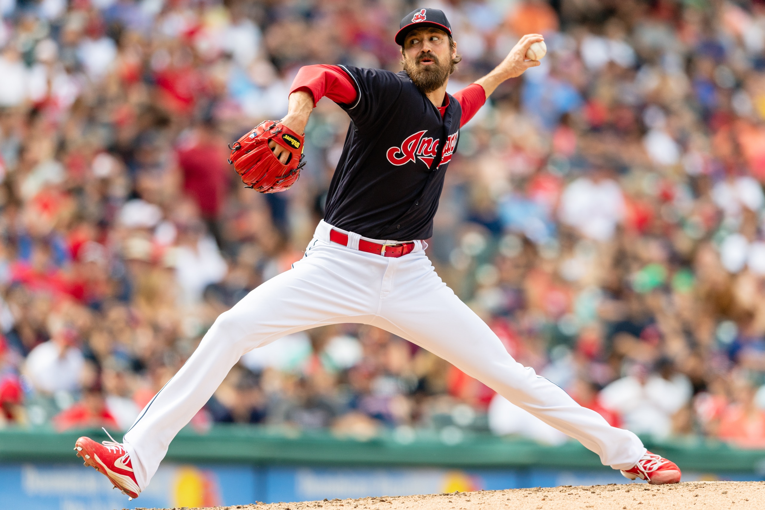 Andrew Miller