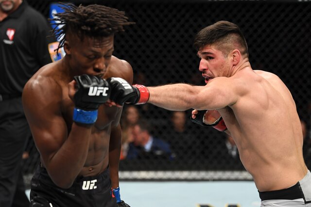 Ufc Reporter UFC 229 Results: The Real Winners and Losers