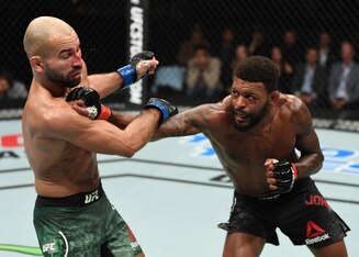 Michael Johnson (right) tags Artem Lobov.