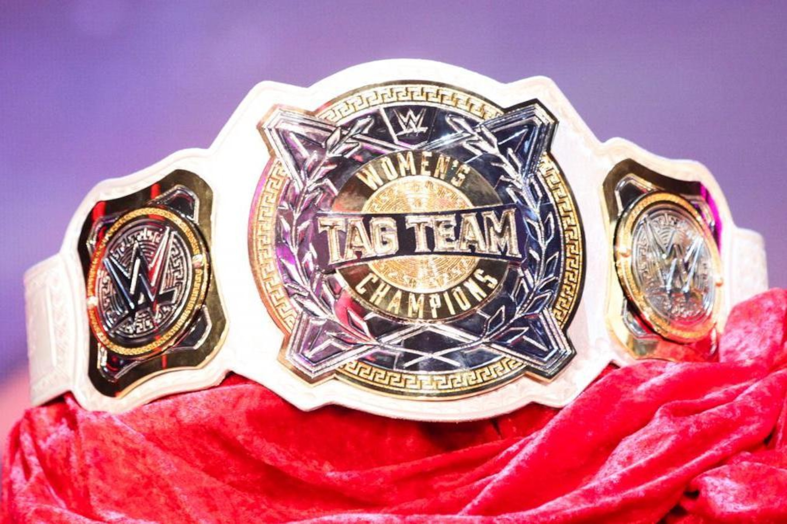 The WWE Women's Tag Team Championship belt. The WWE Women's Tag Team Championship belt.