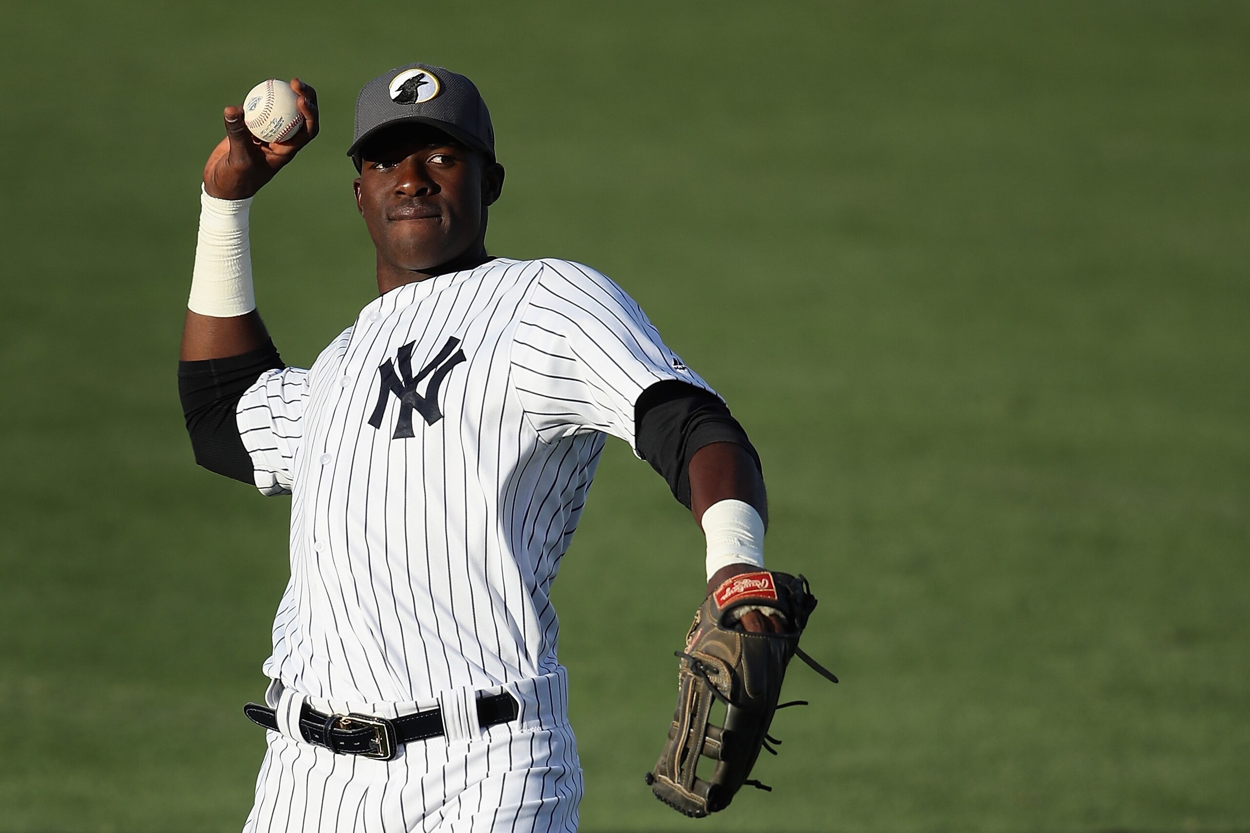 Estevan Florial Estevan Florial