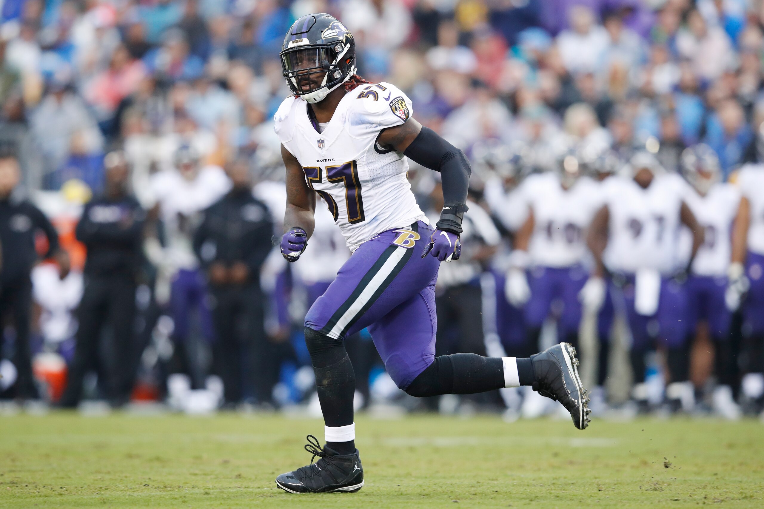 Baltimore Ravens linebacker C.J. Mosley