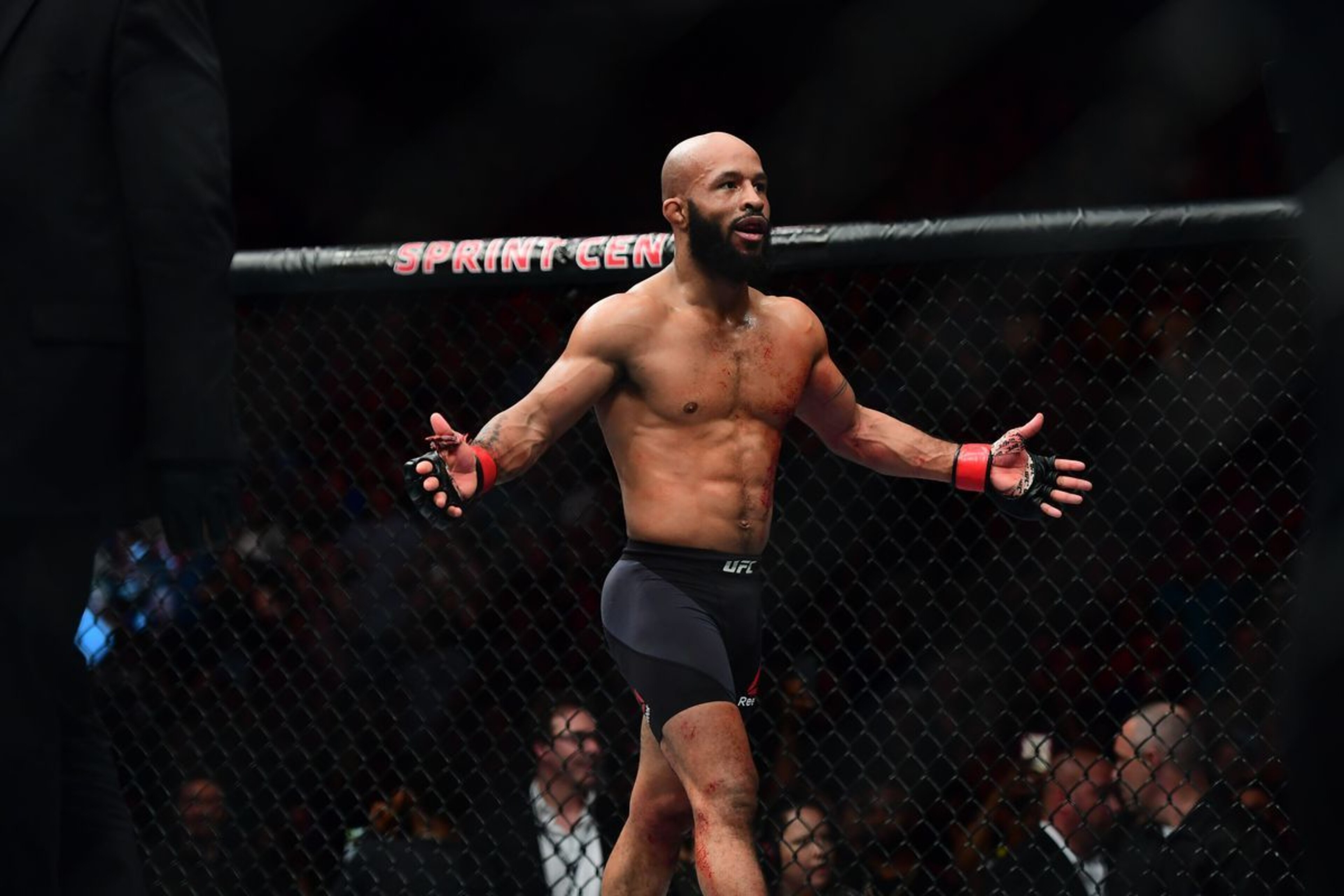 Demetrious Johnson