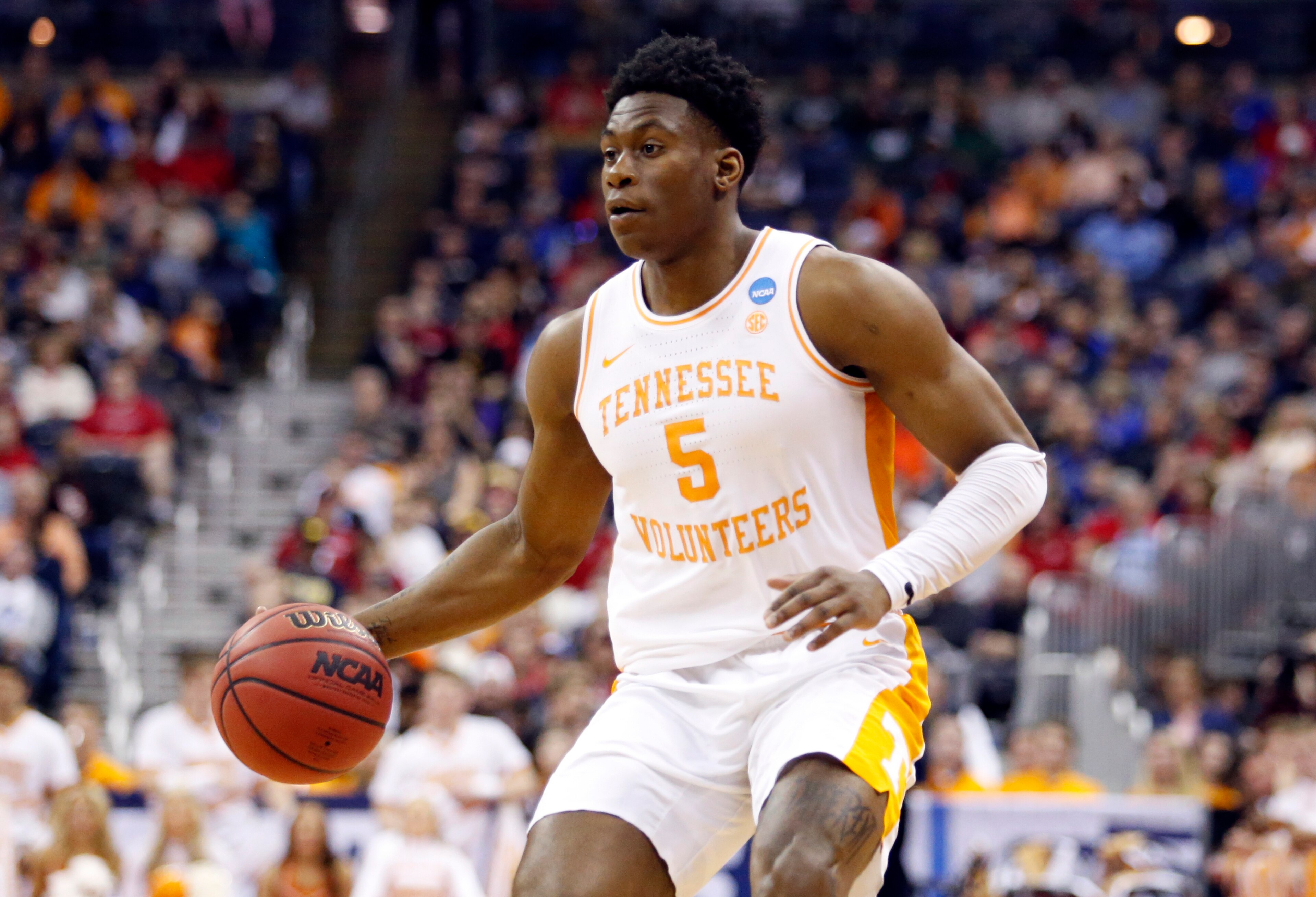 Admiral Schofield Admiral Schofield