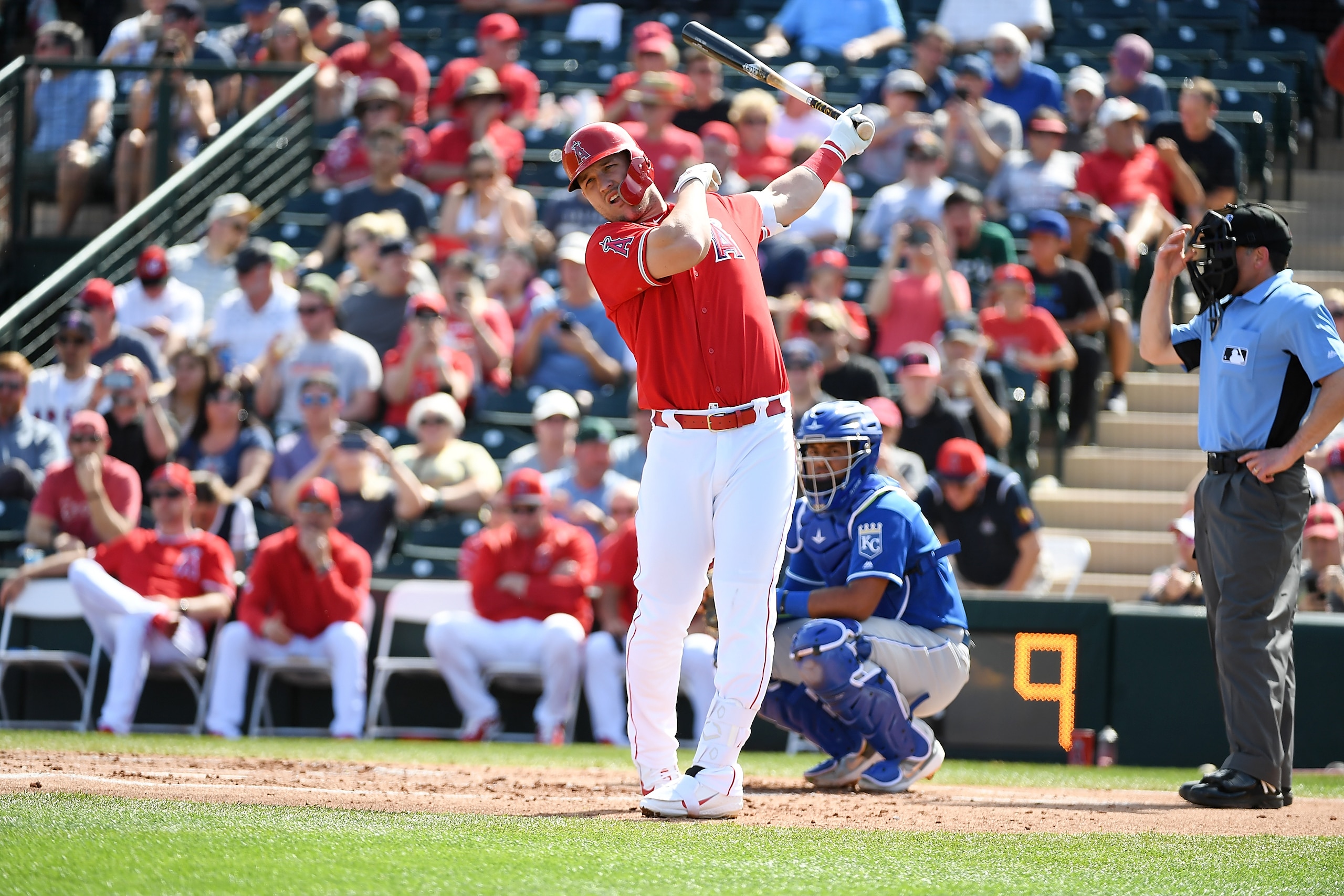 Mike Trout