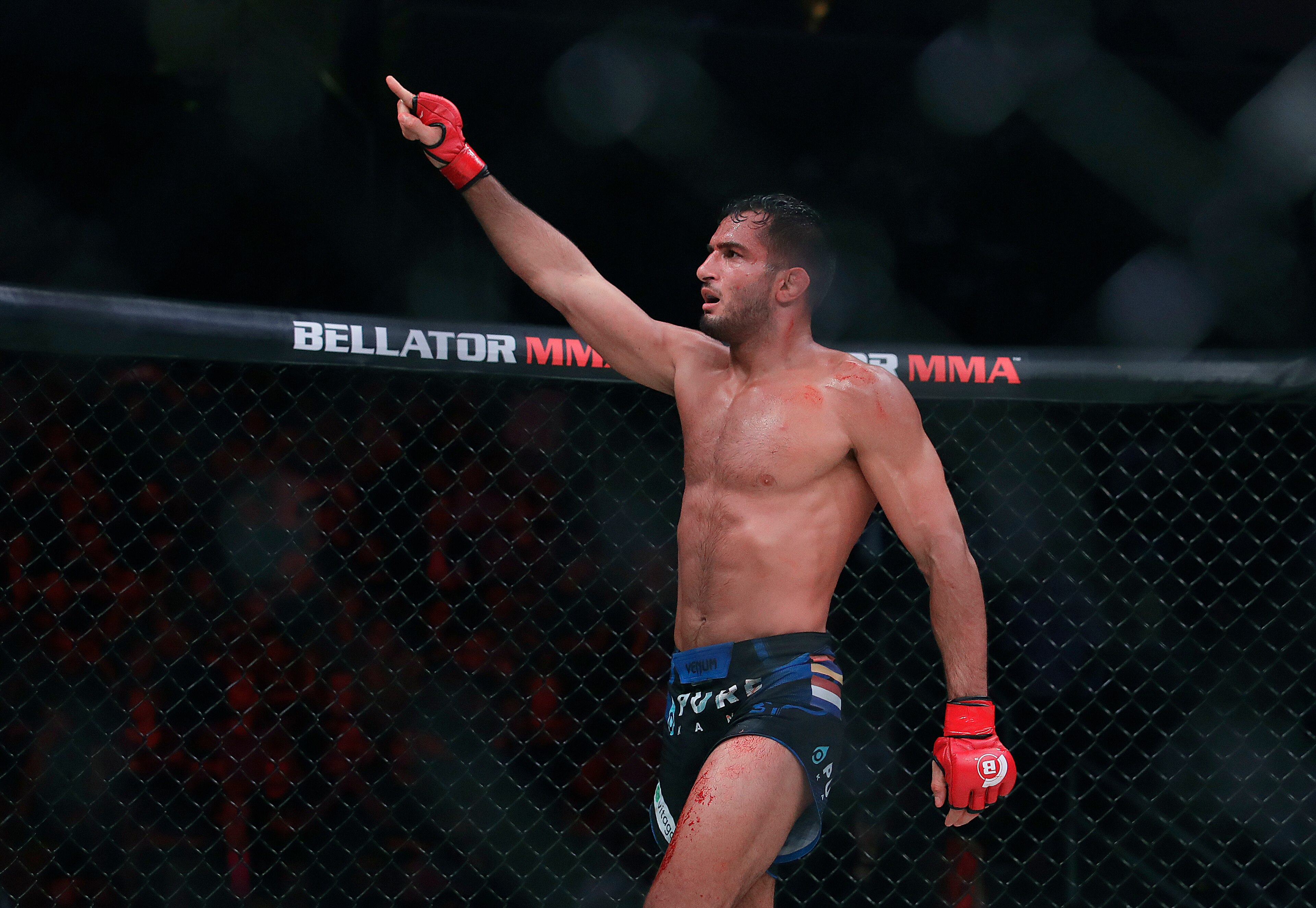 Gegard Mousasi Gegard Mousasi