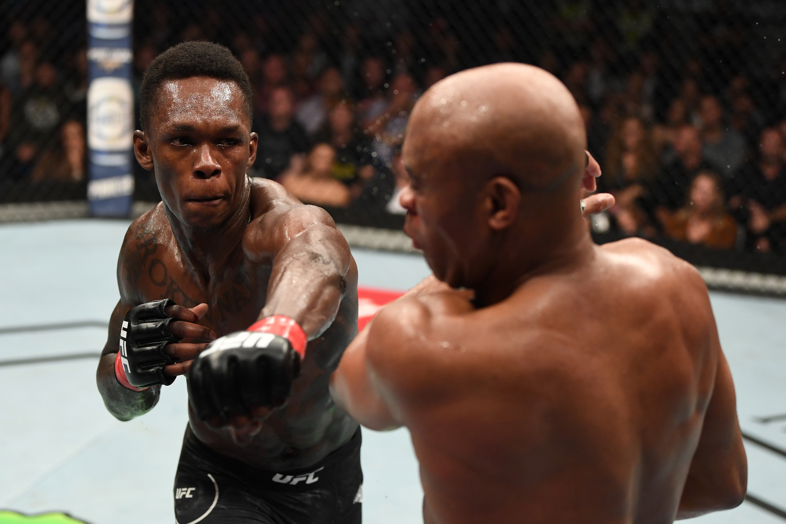 Israel Adesanya (left)