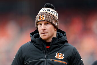 Bengals quarterback Andy Dalton