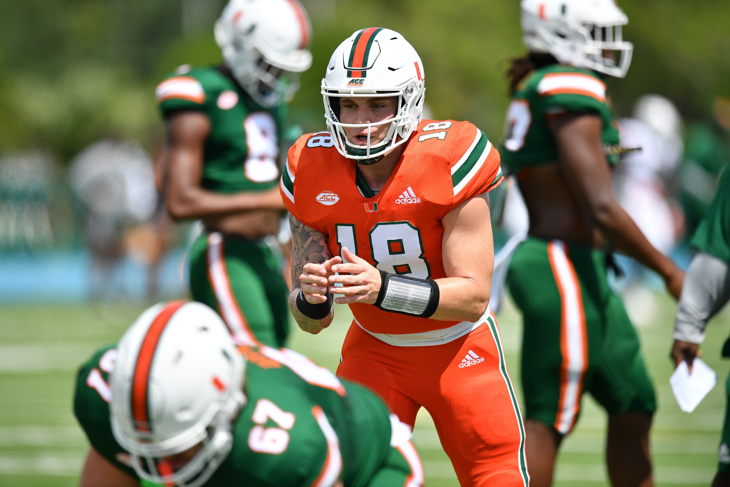 Miami's Tate Martell