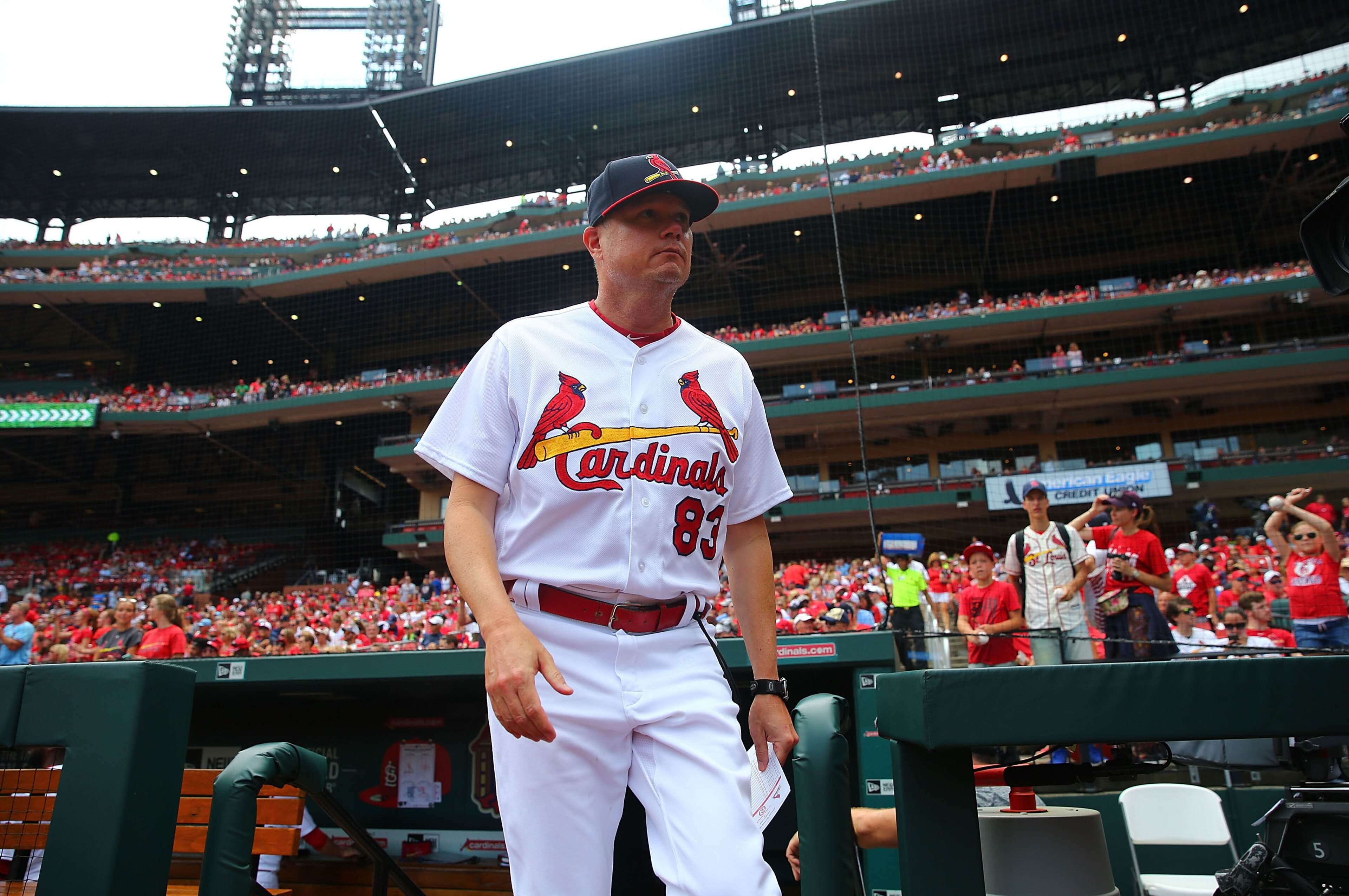 Mike Shildt