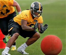 Pittsburgh Steelers linebacker Devin Bush