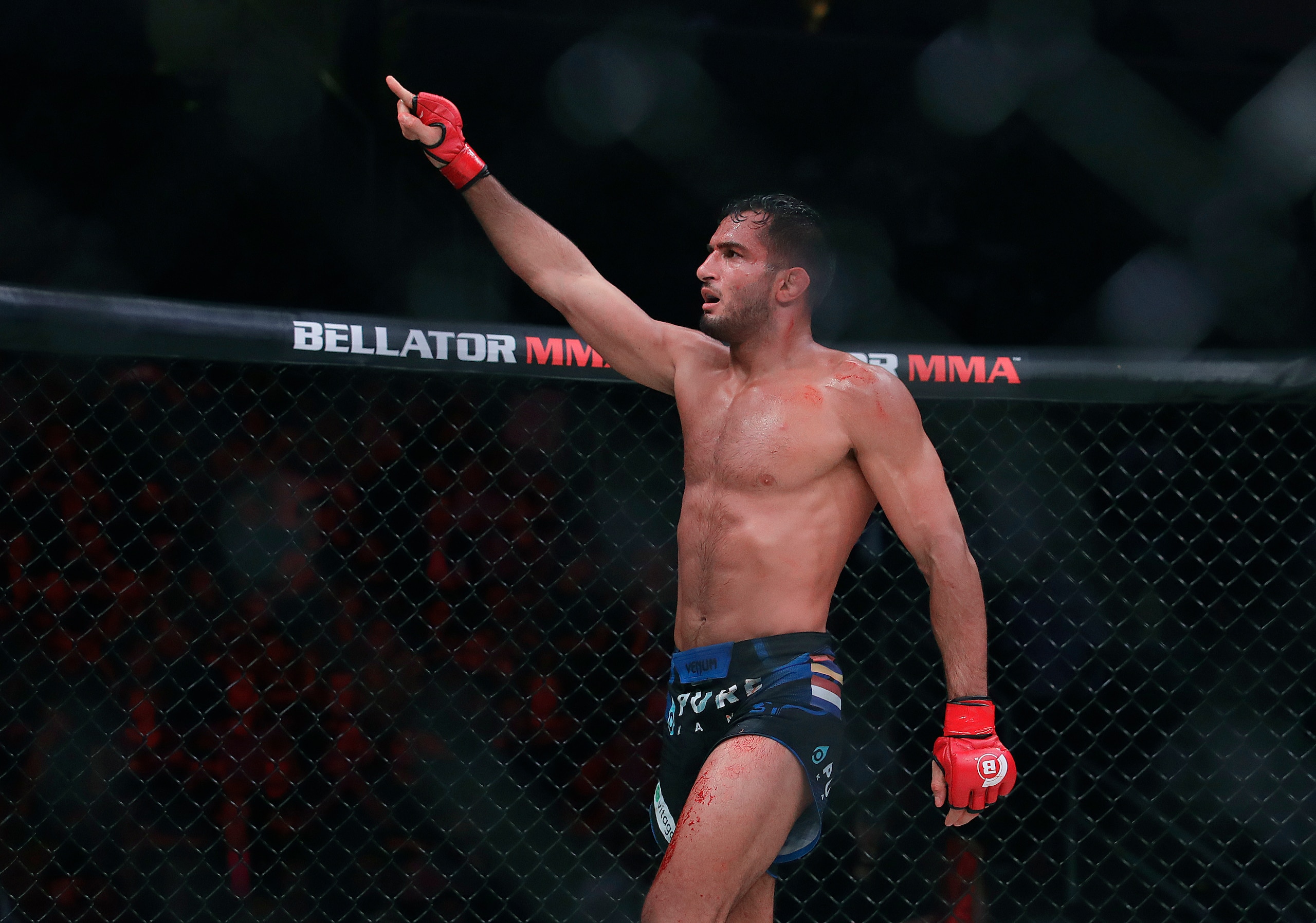 Gegard Mousasi