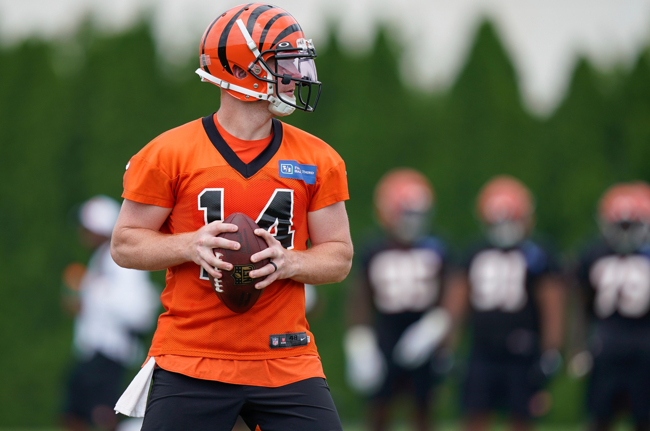Bengals QB Andy Dalton Bengals QB Andy Dalton