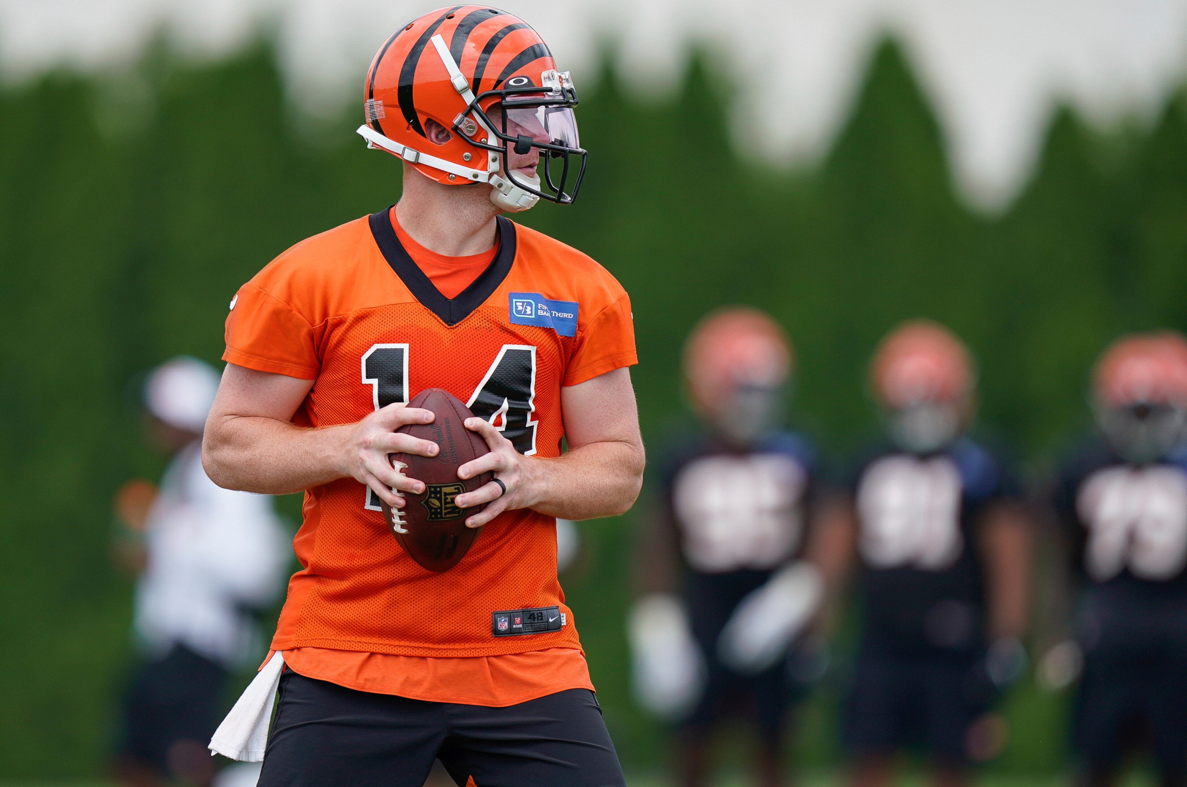 Bengals QB Andy Dalton