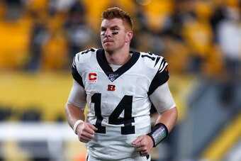 Bengals QB Andy Dalton