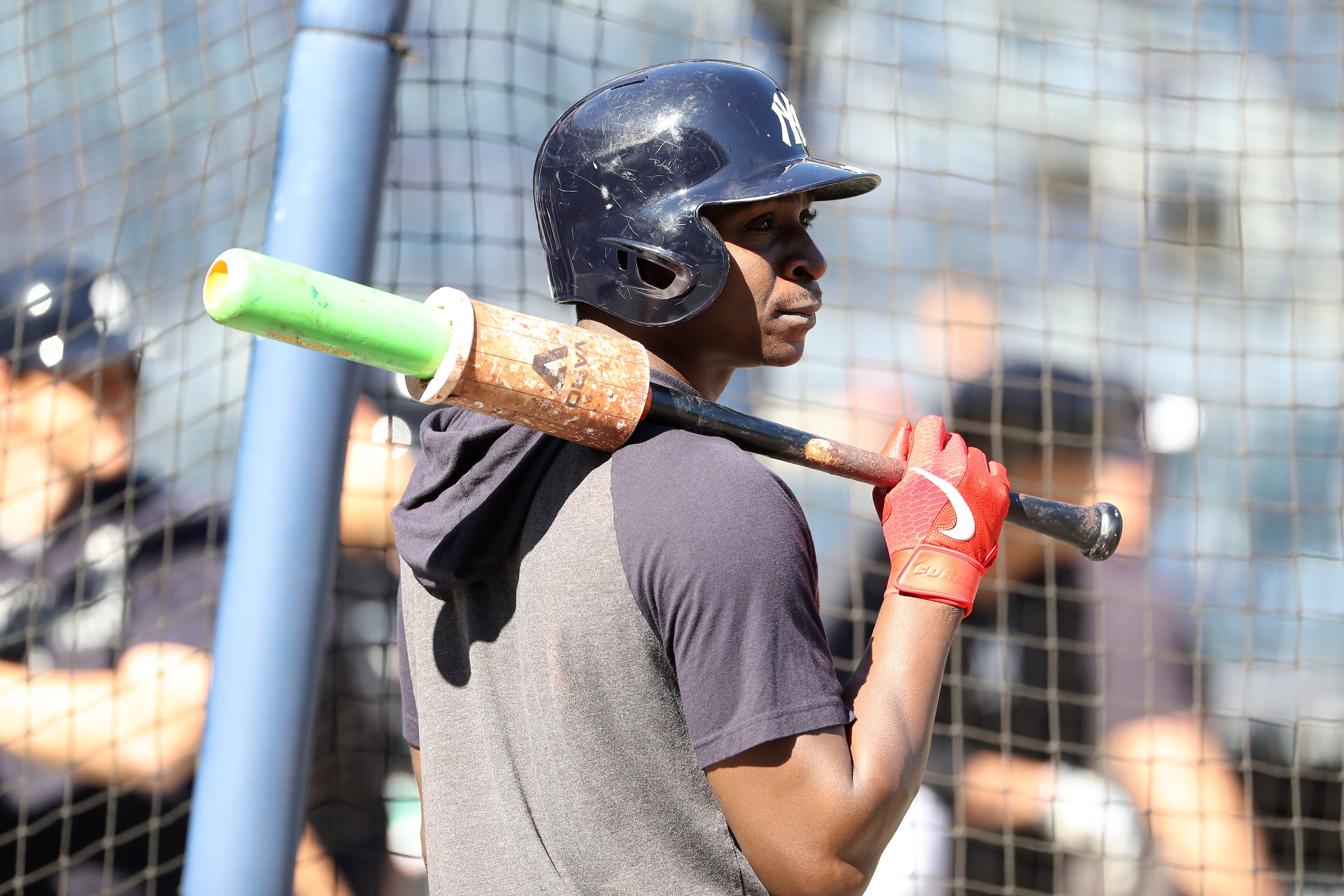 Didi Gregorius