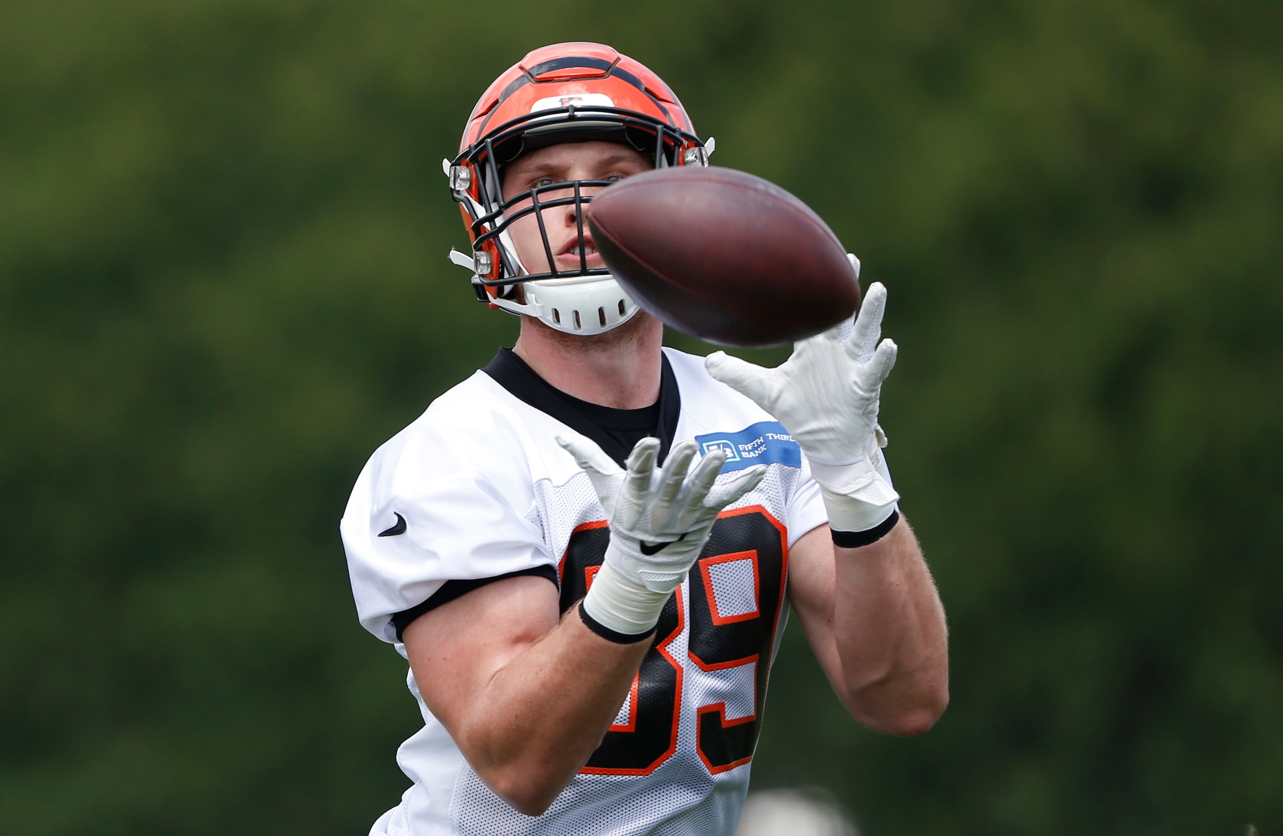 Bengals TE Drew Sample Bengals TE Drew Sample