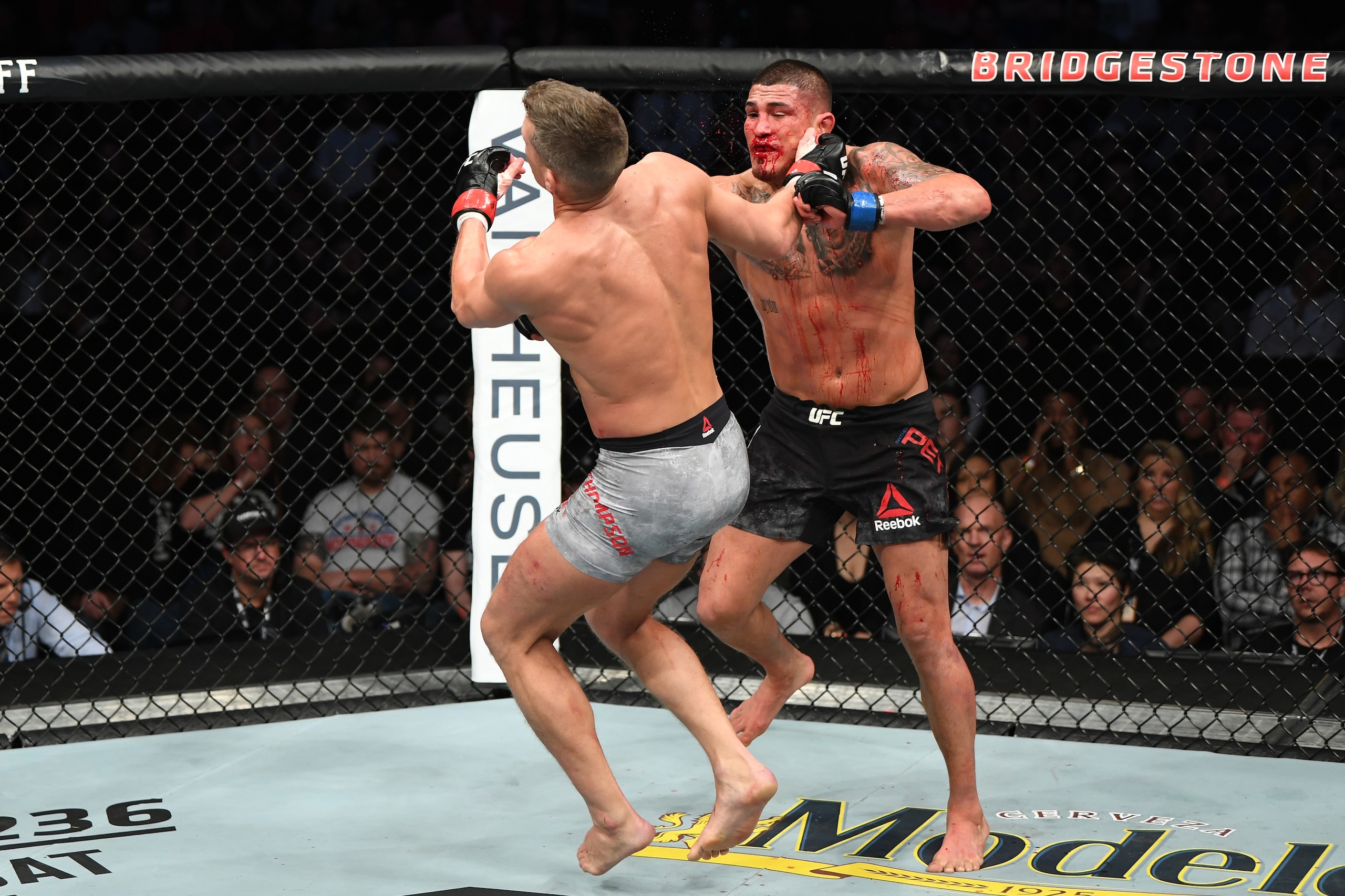 Anthony Pettis went 1-1 during 2019, but scored a tremendous KO against Stephen Thompson. Anthony Pettis went 1-1 during 2019, but scored a tremendous KO against Stephen Thompson.