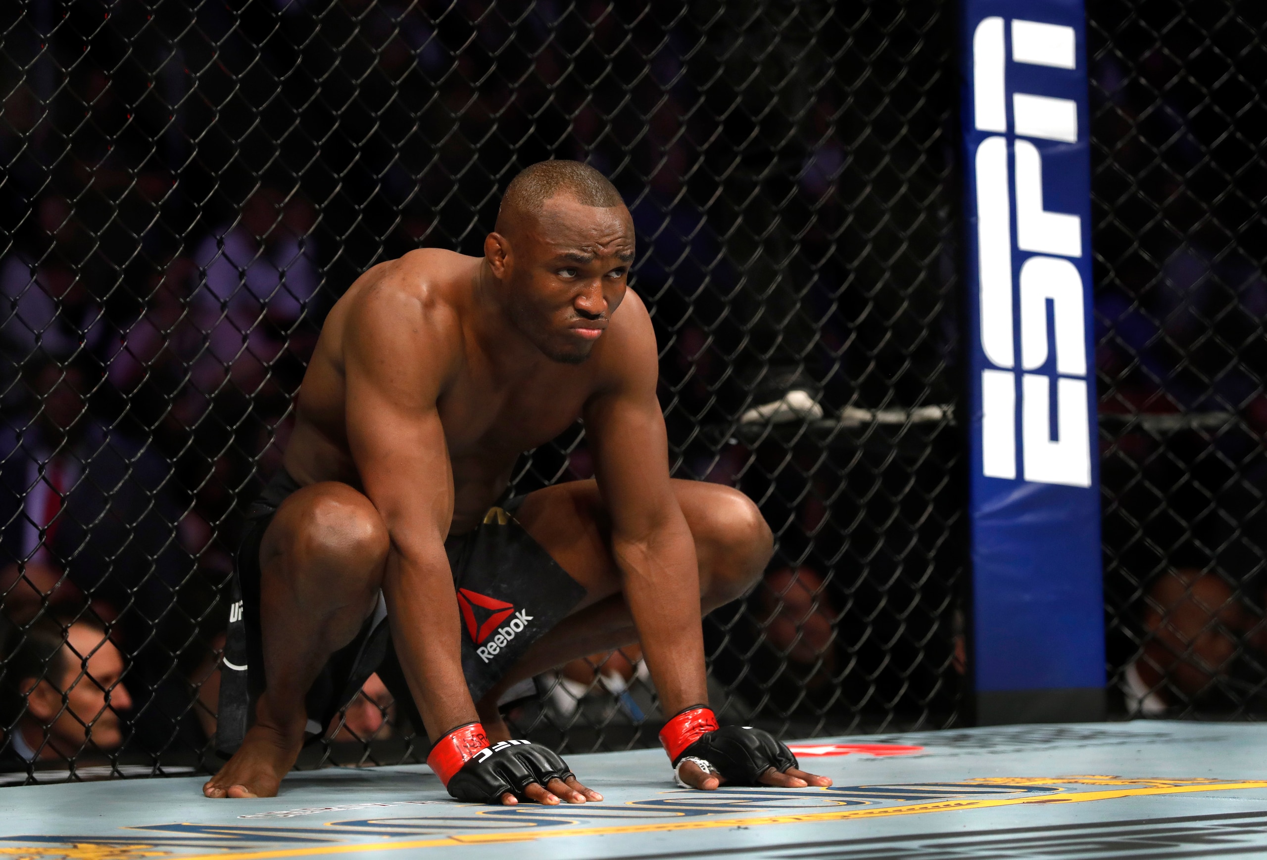 Should McGregor tackle 170-pound champ Usman?