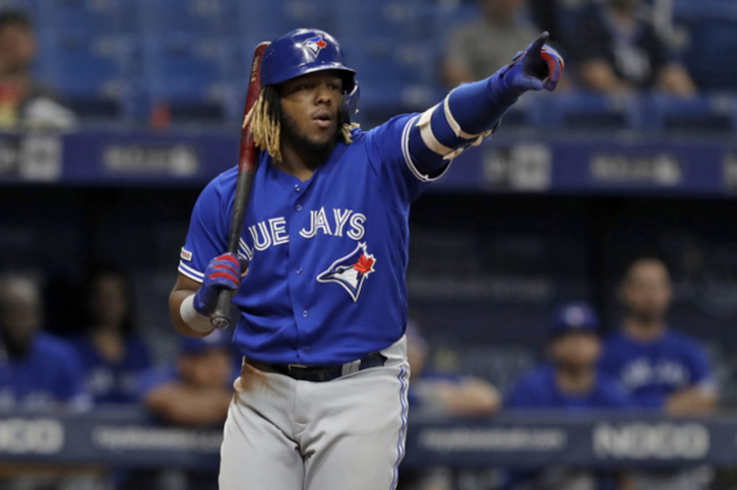 Vladimir Guerrero Jr. Vladimir Guerrero Jr.