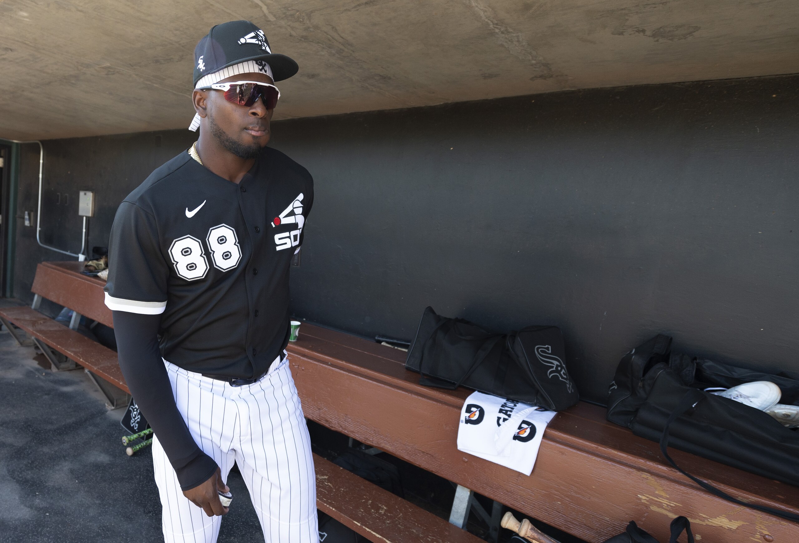 Luis Robert