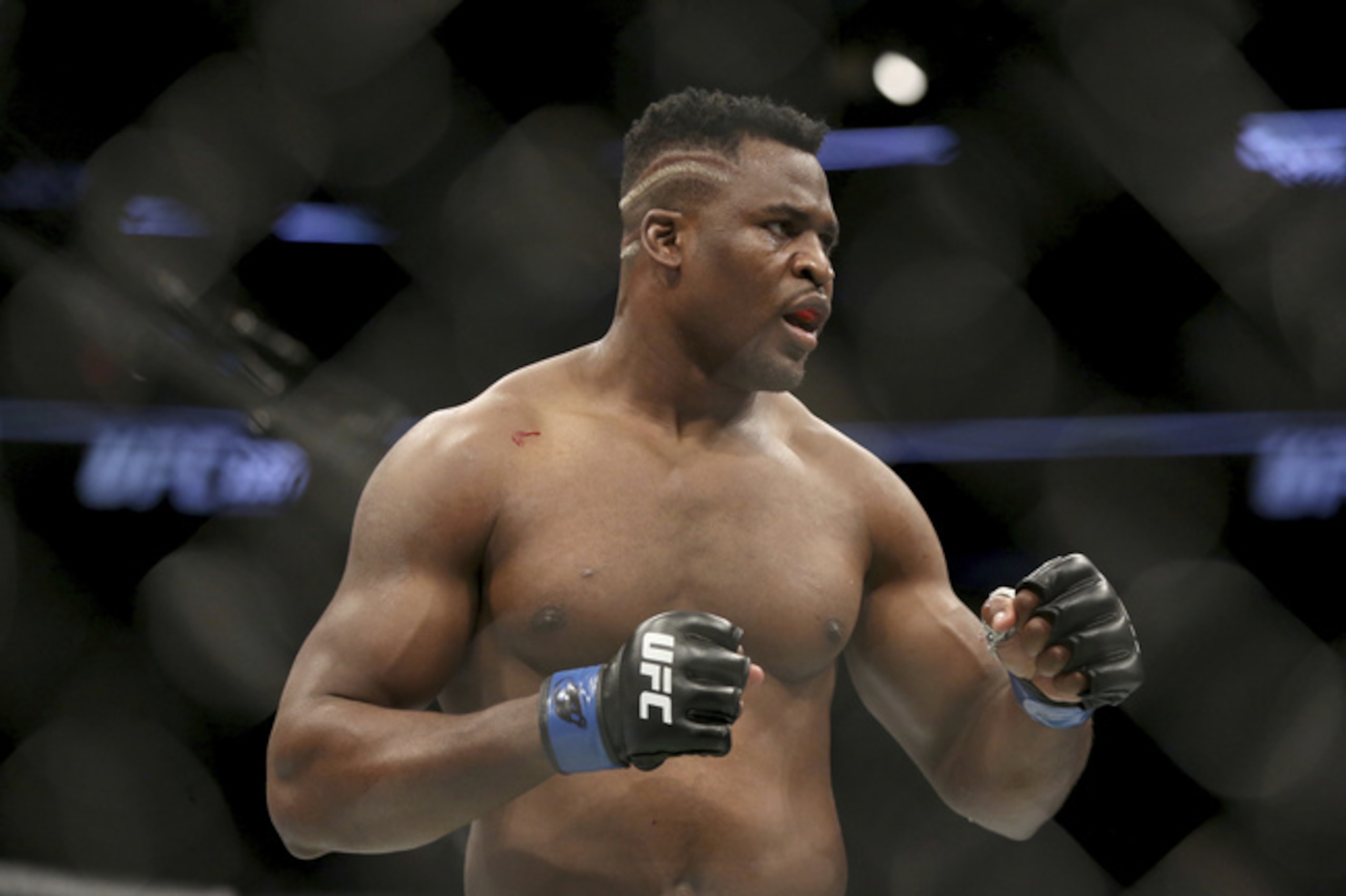 Who has next in the heavyweight division?