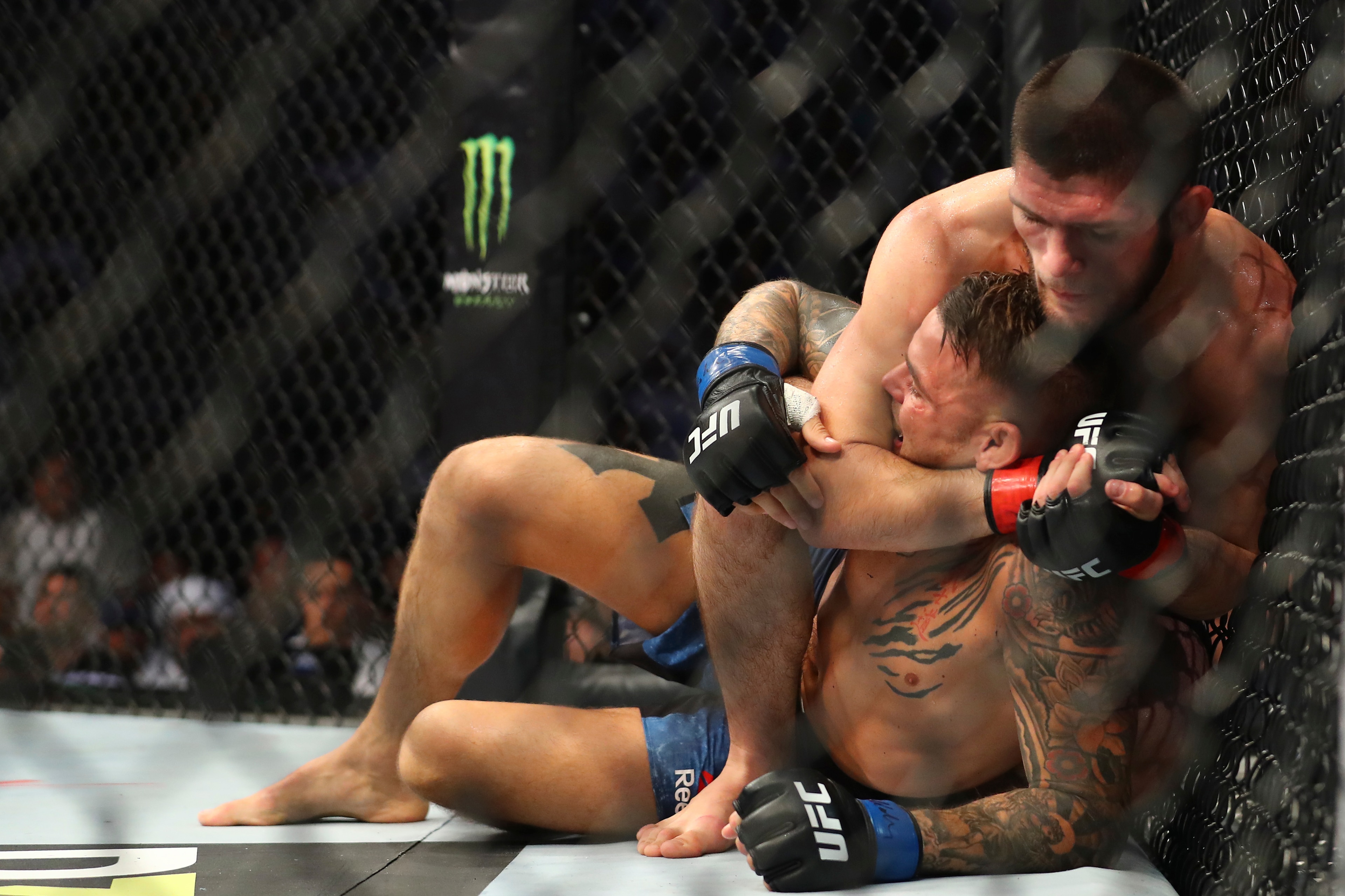 Numbers don't lie when it comes to who has the superior grappling ability. Numbers don't lie when it comes to who has the superior grappling ability.