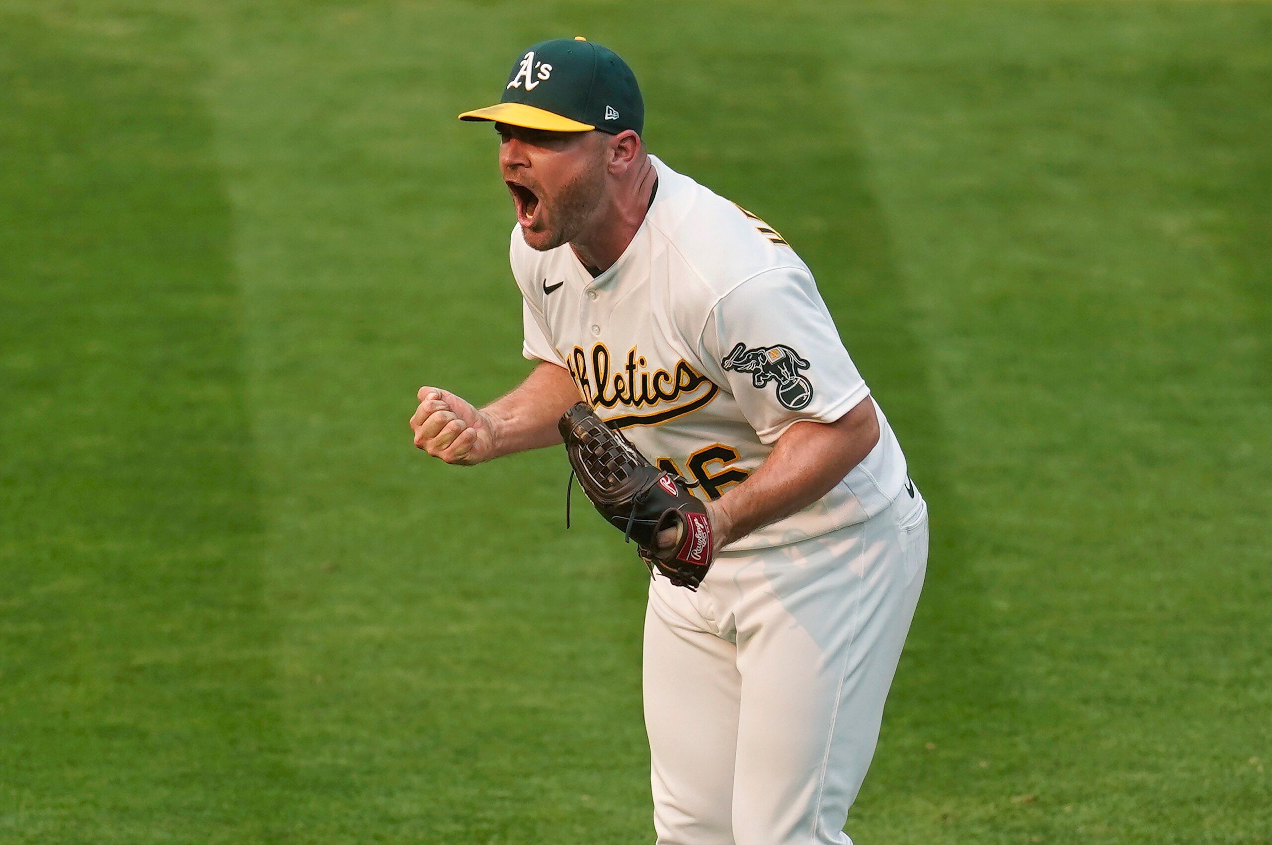 Liam Hendriks