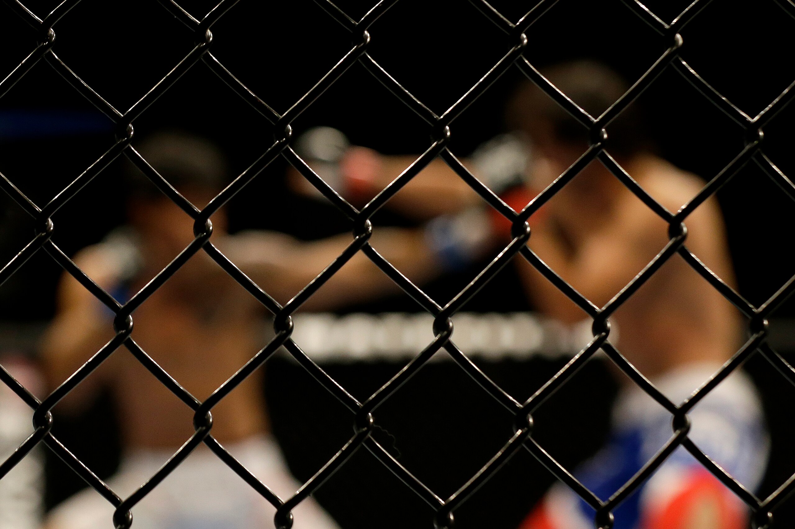 Will this light heavyweight matchup be stopped again?