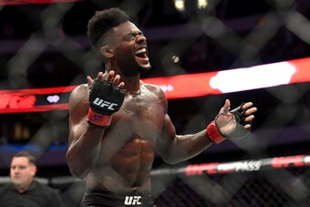 Bantamweight contender Aljamain Sterling