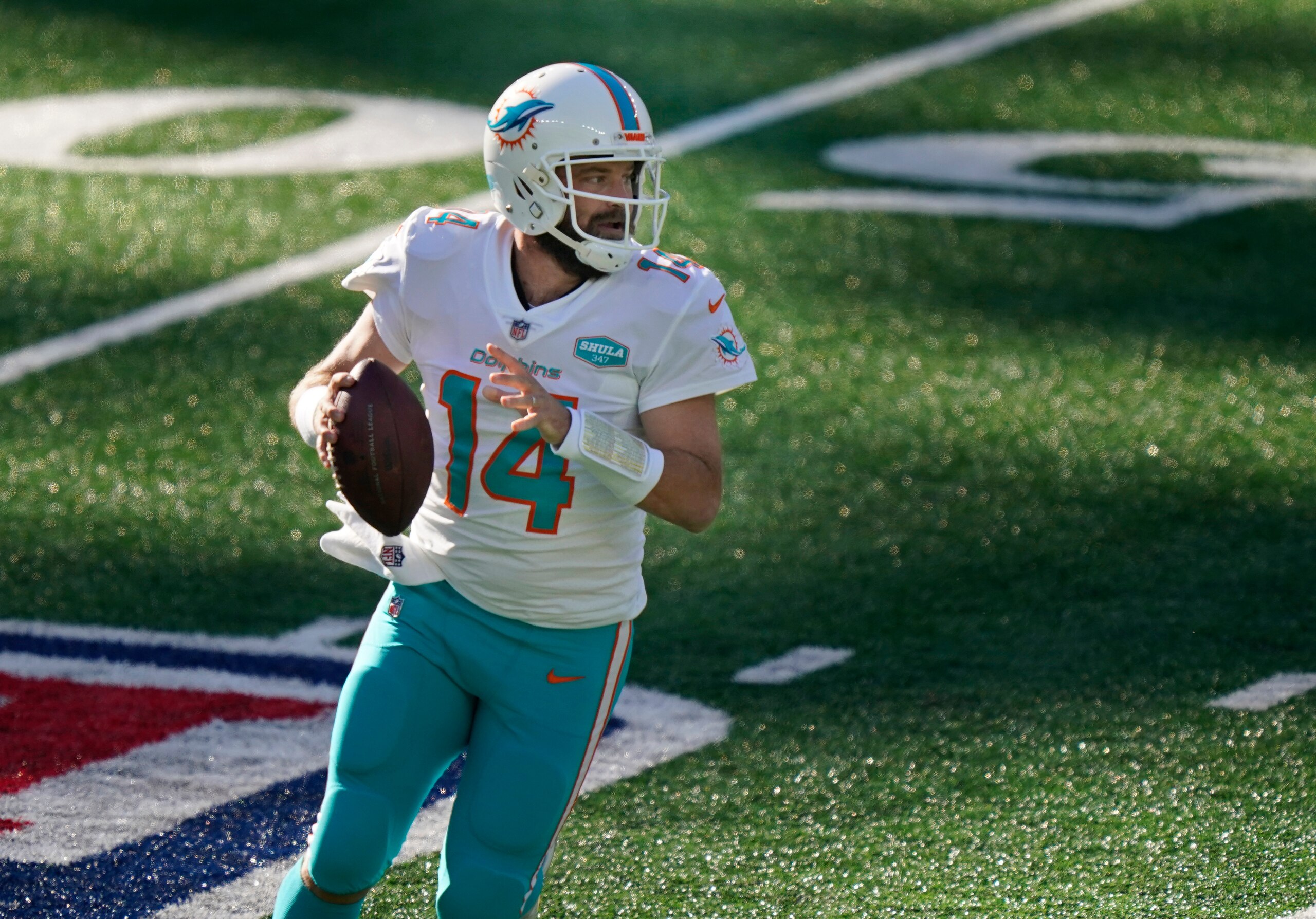 Ryan Fitzpatrick Ryan Fitzpatrick