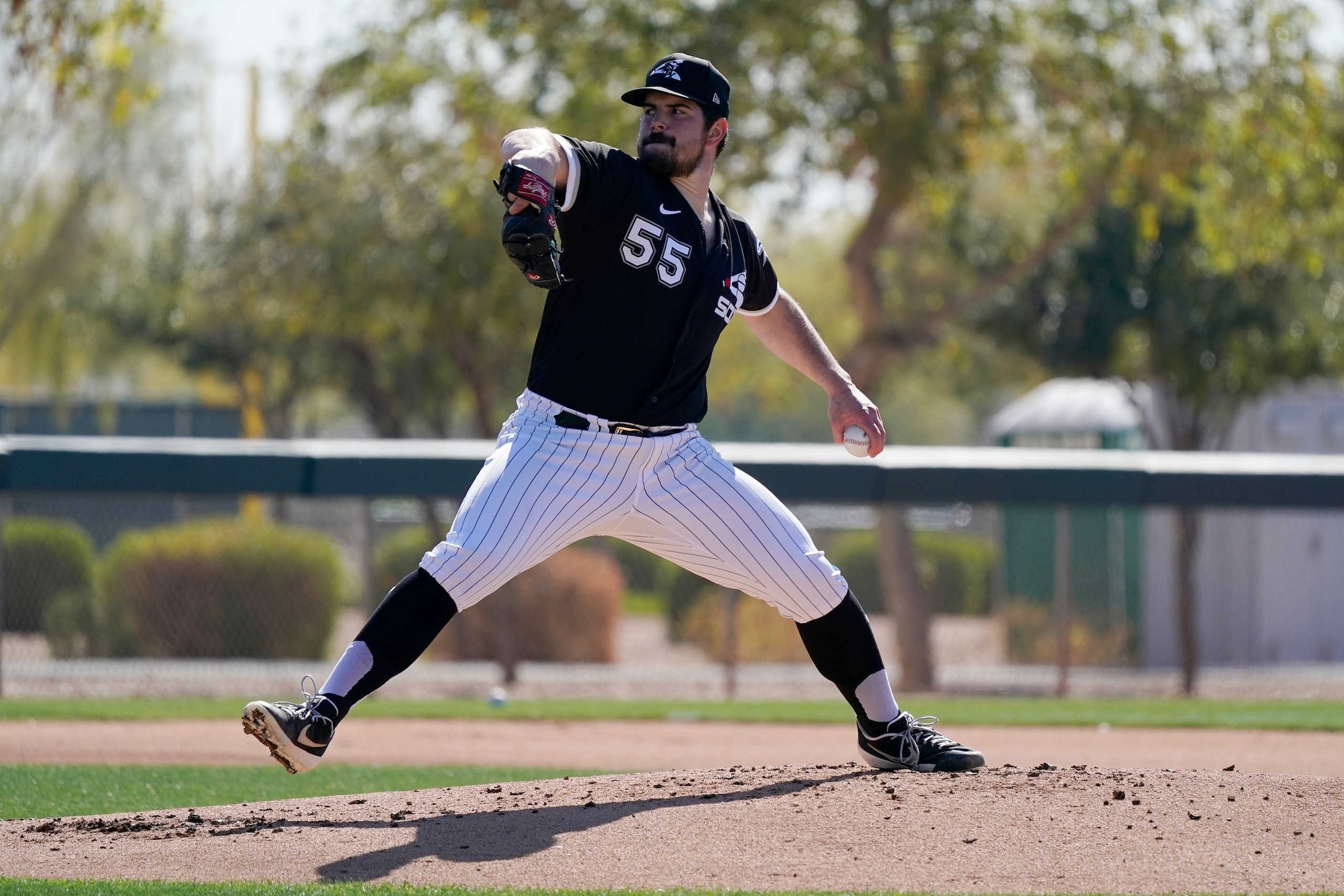 Carlos Rodon