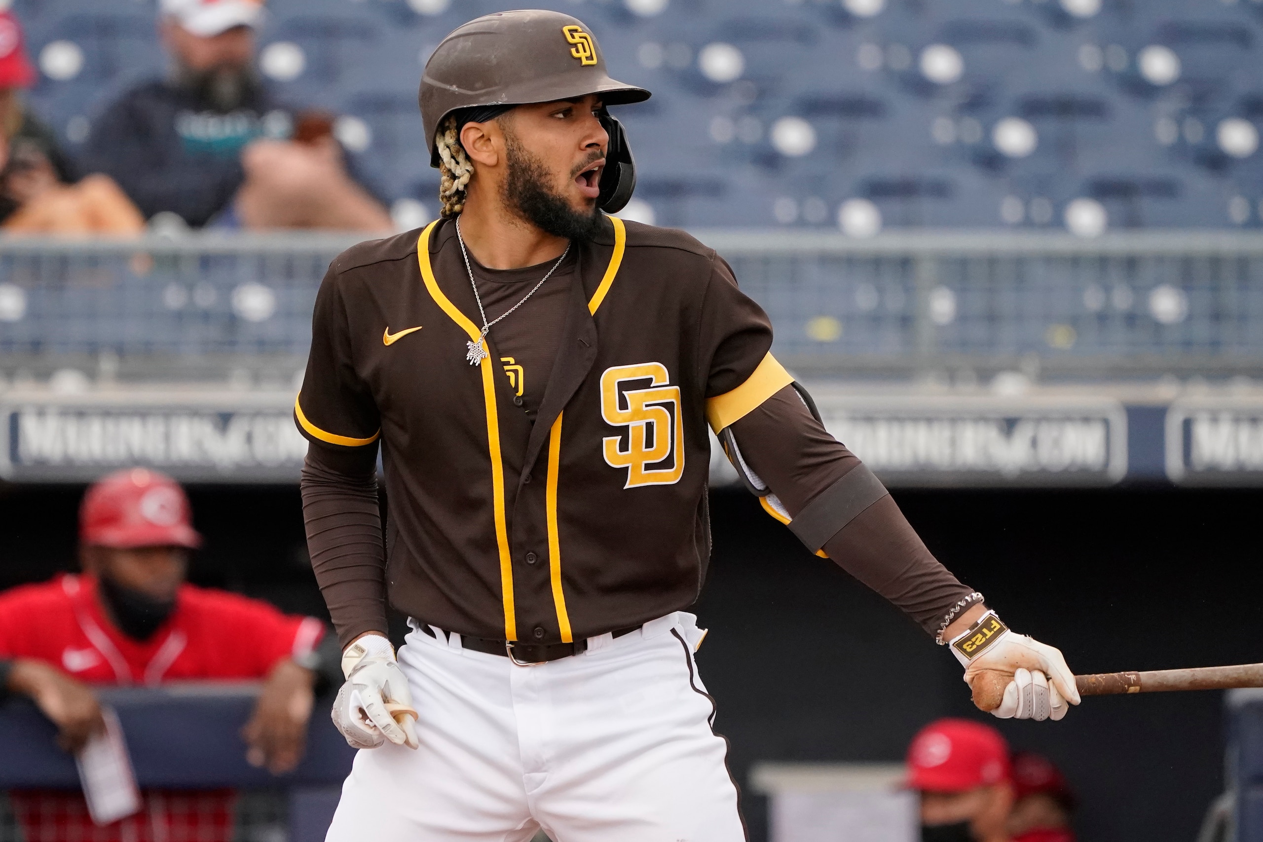 Fernando Tatis Jr.