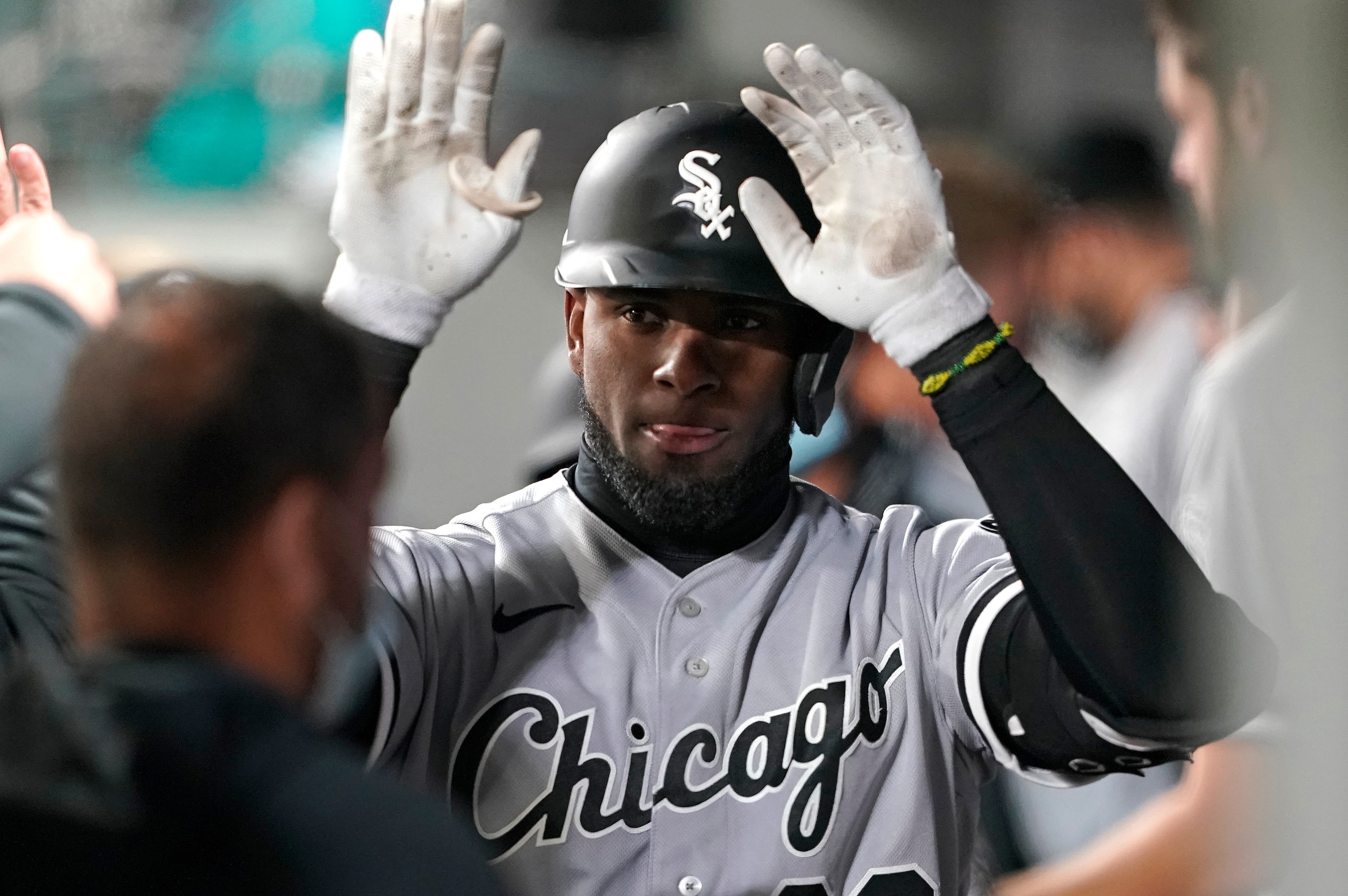 Luis Robert