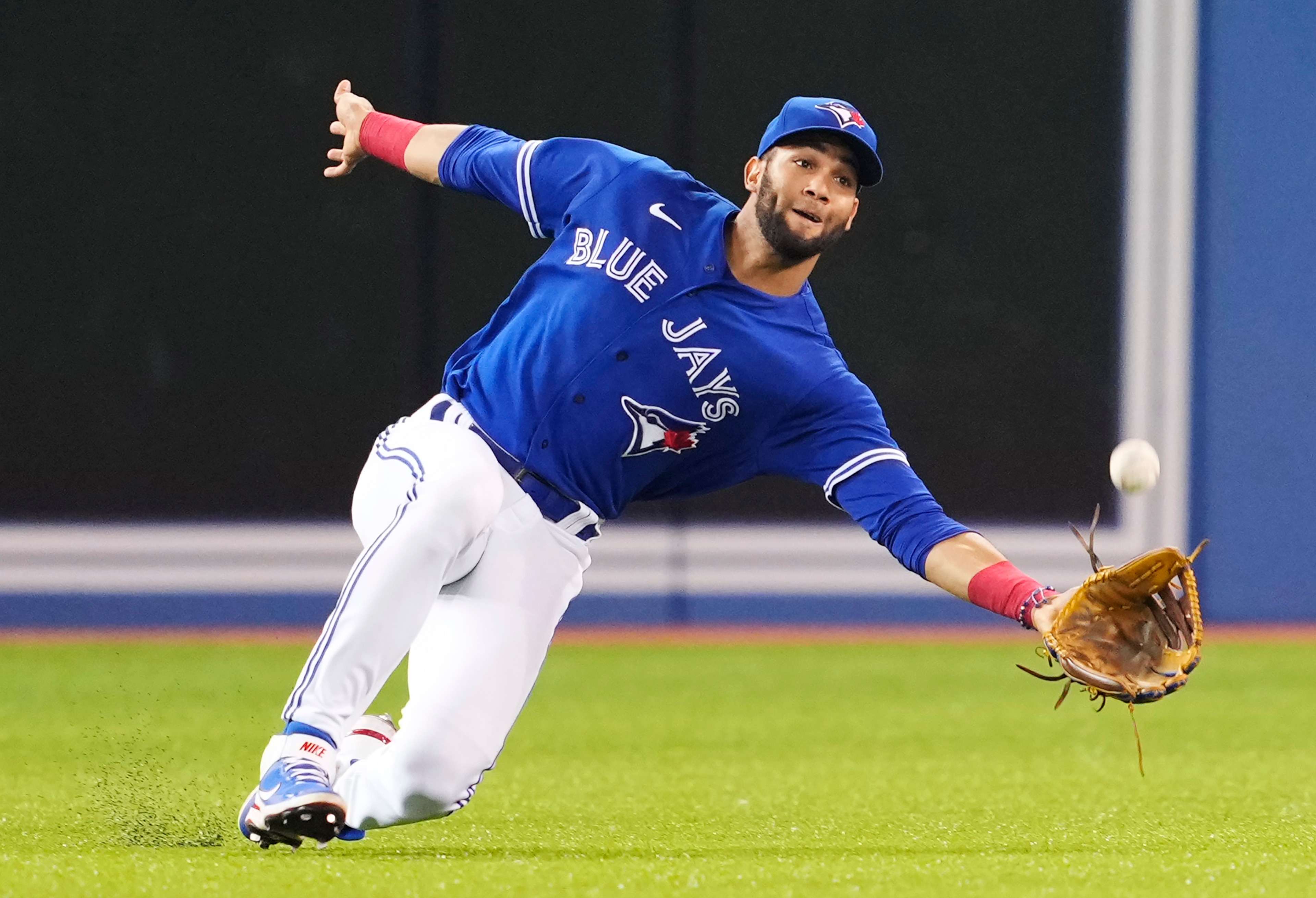 Lourdes Gurriel Jr.