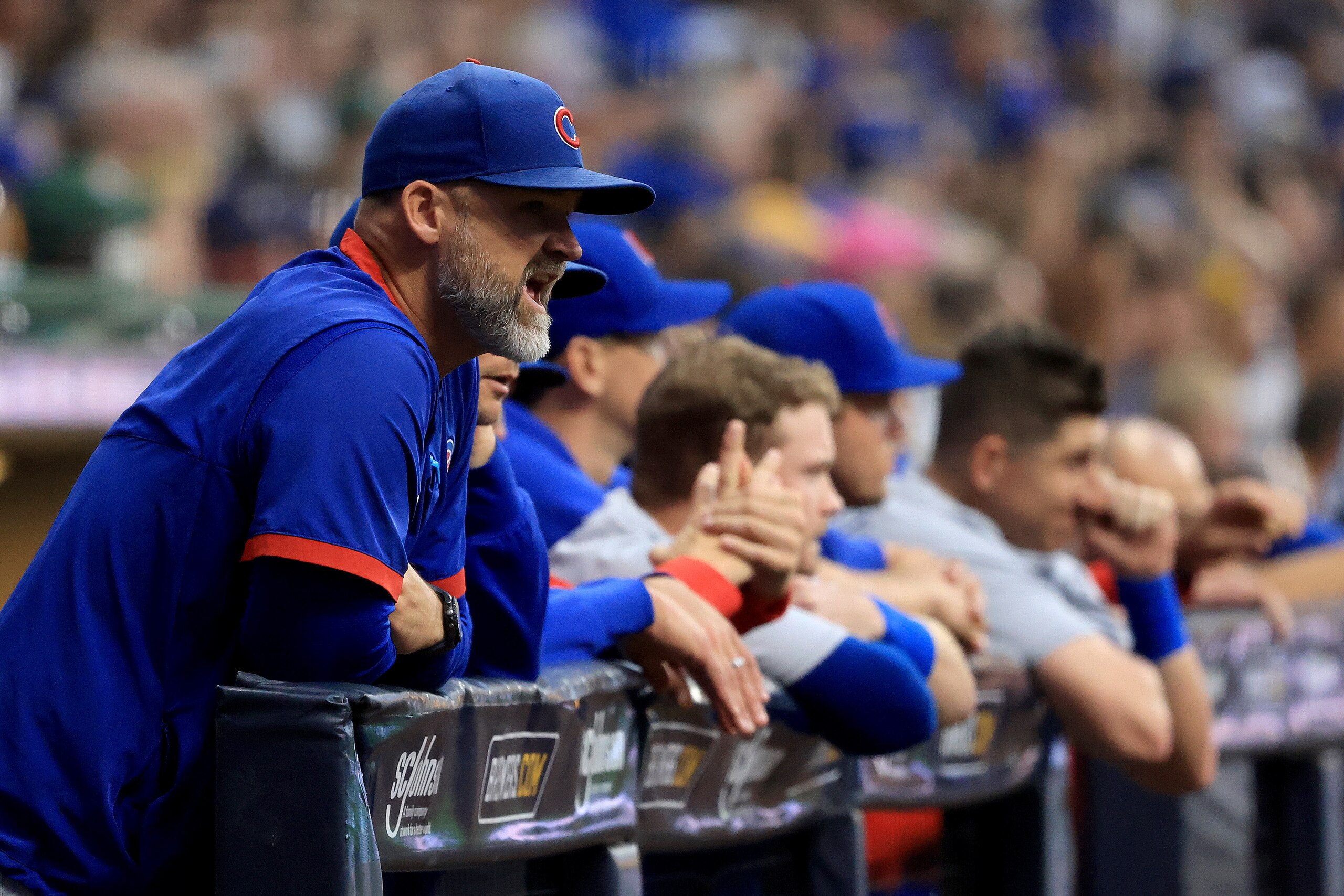 David Ross and the Cubs have some needs to fill.