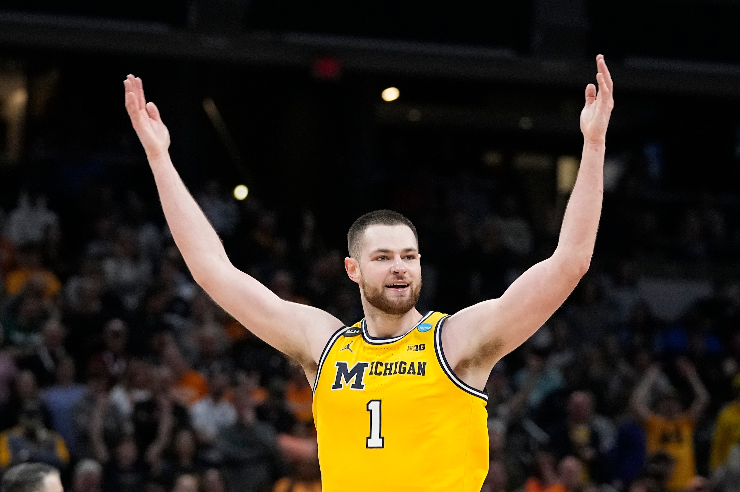 Michigan's Hunter Dickinson