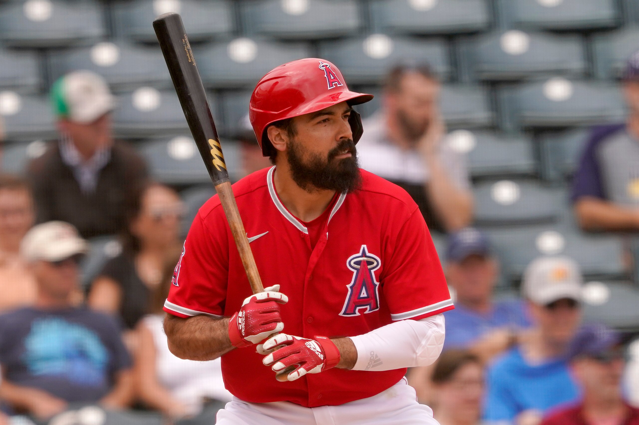 Anthony Rendon
